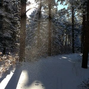 Meet your Posher, Maggie